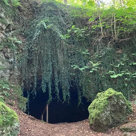 Moselidylle Meulenwald - Familie Pauls