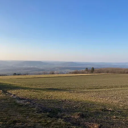 Moselidylle Meulenwald - Familie Pauls * Heckenmunster