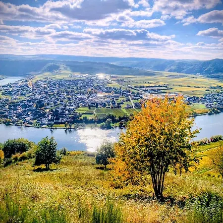 Moselidylle Meulenwald - Familie Pauls Apartamento *